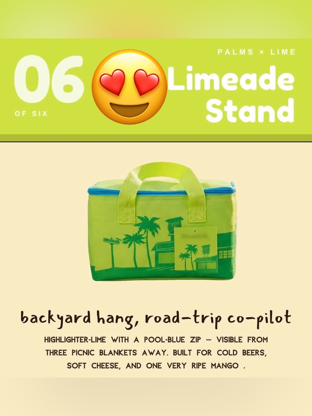 Trader Joe’s Mini Insulated Bag